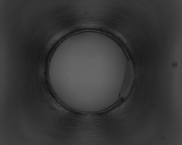 X0000091850922200710031017
