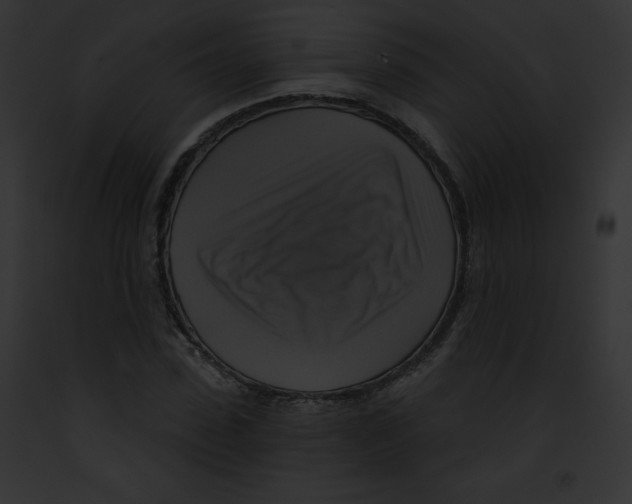 X0000091850923200710031017