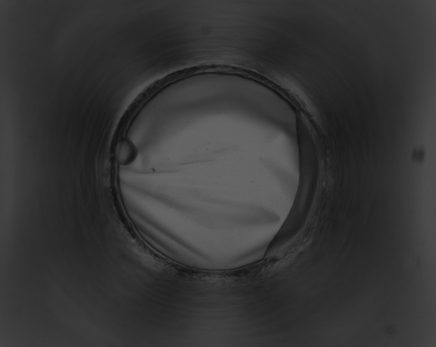 X0000091850924200710031017