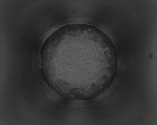 X0000091850925200710031017