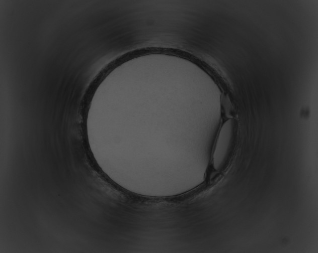 X0000091850926200710031017