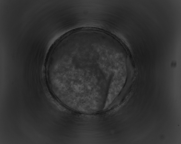 X0000091850928200710031017