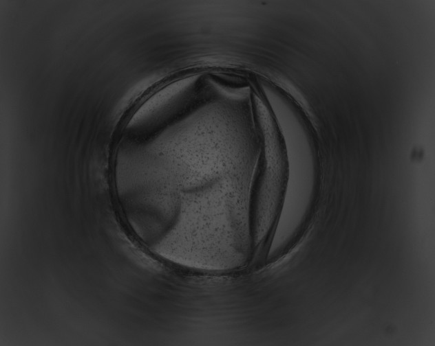 X0000091850930200710031017