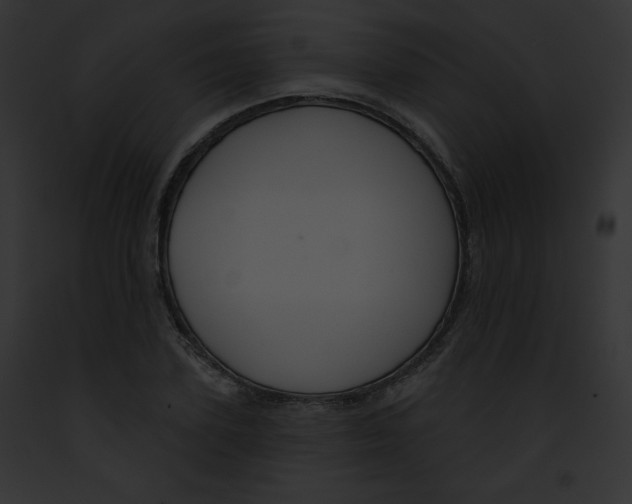 X0000091850931200710031017