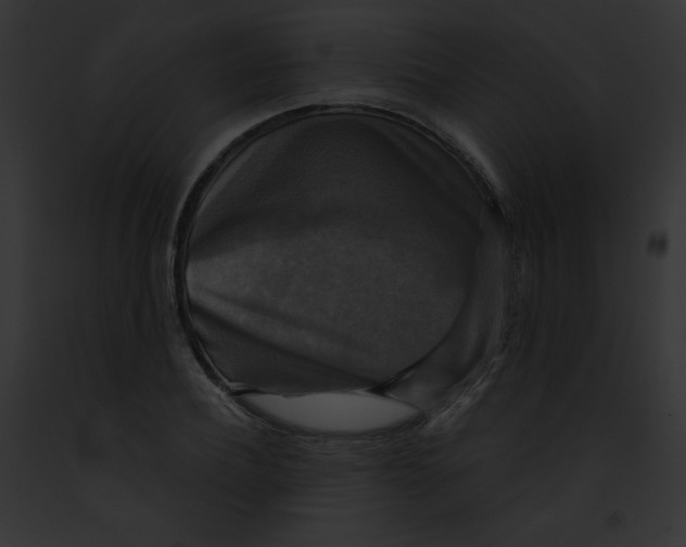 X0000091850932200710031017