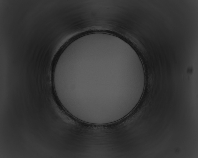 X0000091850934200710031017