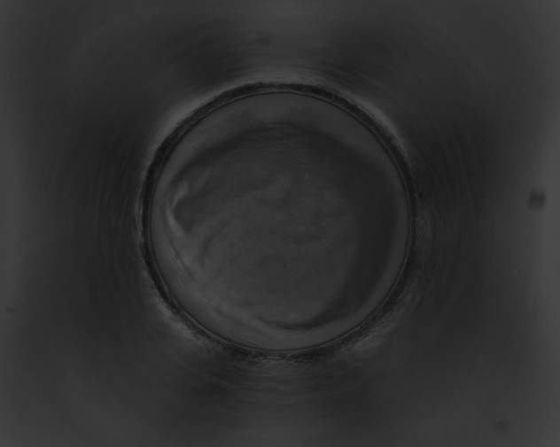 X0000091850935200710031017