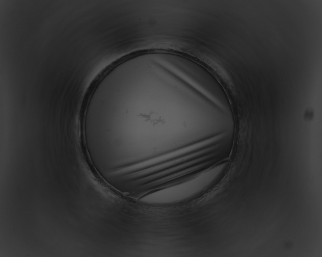 X0000091850936200710031017