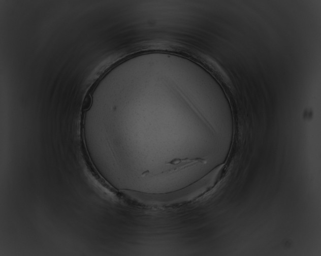 X0000091850938200710031017