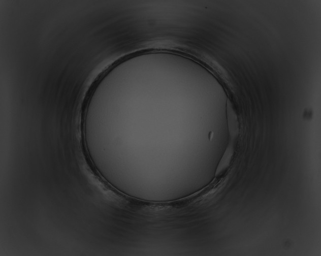 X0000091850939200710031017