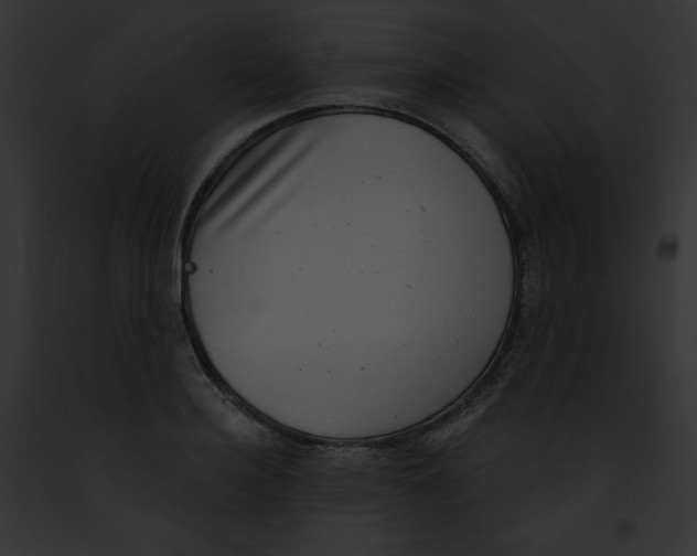X0000091850940200710031017