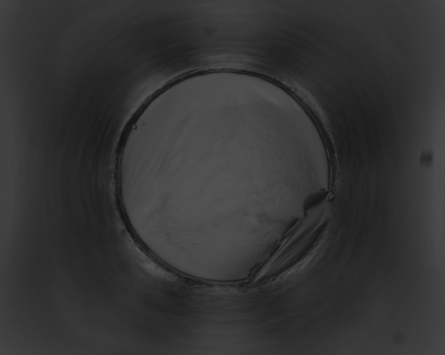 X0000091850941200710031017
