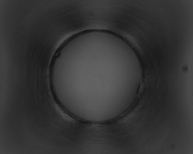 X0000091850942200710031017