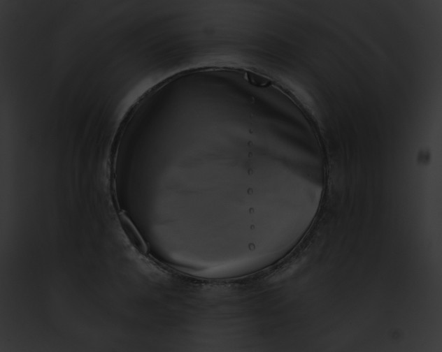 X0000091850944200710031017