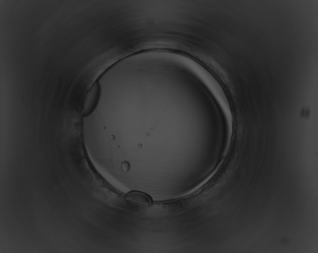 X0000091850945200710031017
