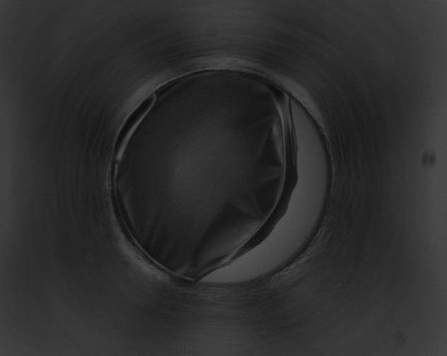 X0000091850946200710031017