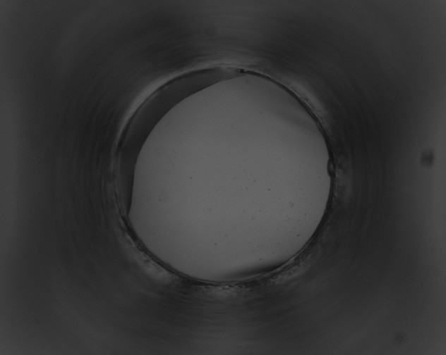 X0000091850948200710031017