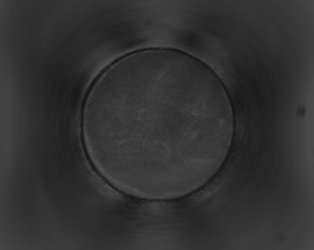 X0000091850950200710031017