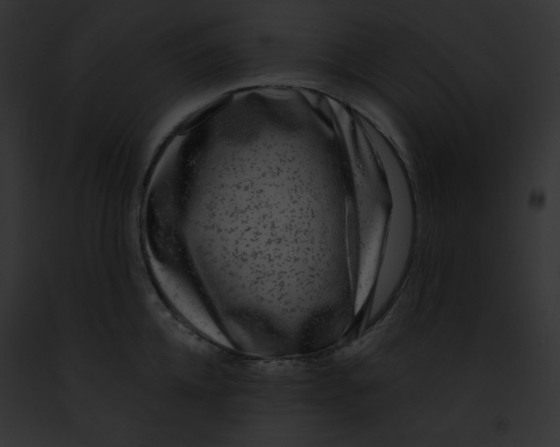 X0000091850952200710031017