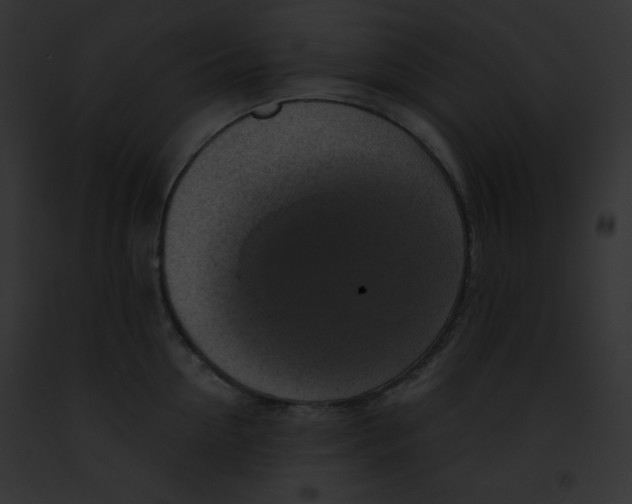 X0000091850954200710031017