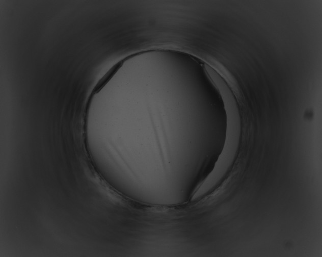 X0000091850956200710031017