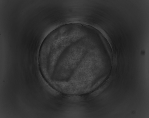 X0000091850957200710031017