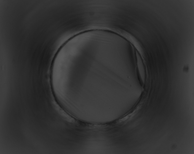 X0000091850958200710031017