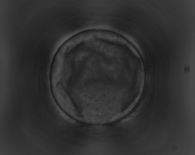 X0000091850959200710031017