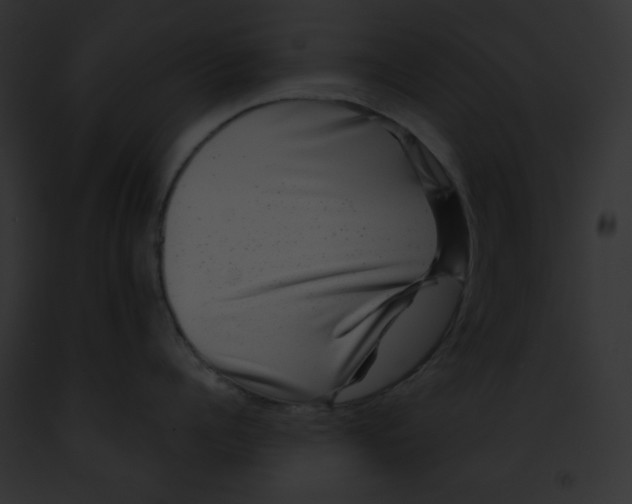 X0000091850960200710031017