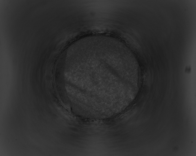 X0000091850961200710031017