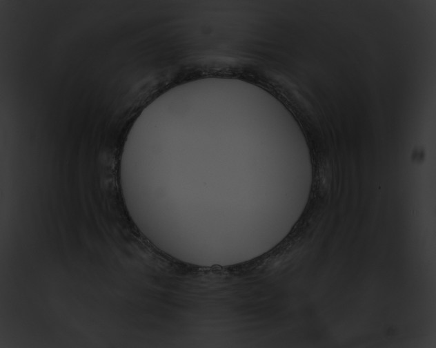 X0000091850964200710031016