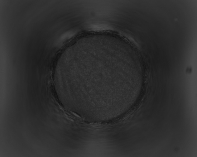 X0000091850965200710031016