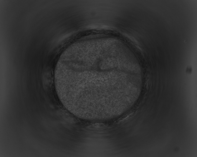 X0000091850966200710031016