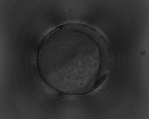 X0000091850969200710031016