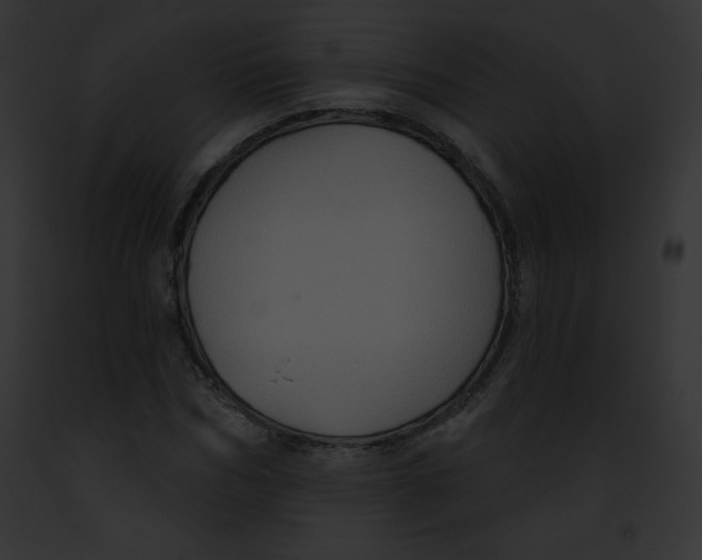 X0000091850970200710031016