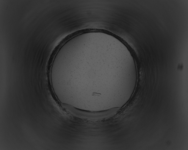 X0000091850972200710031016