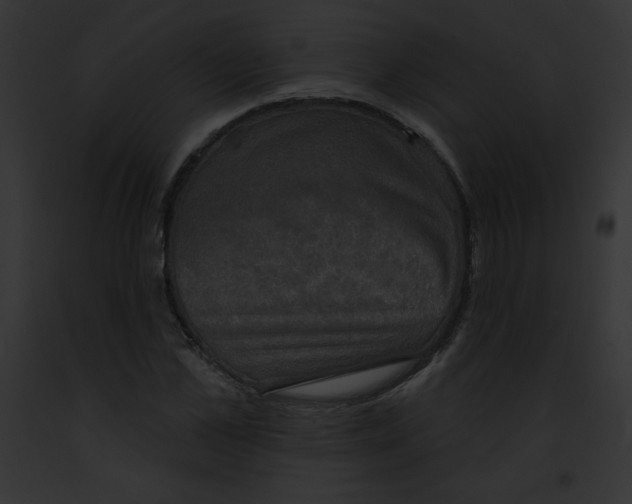 X0000091850973200710031016