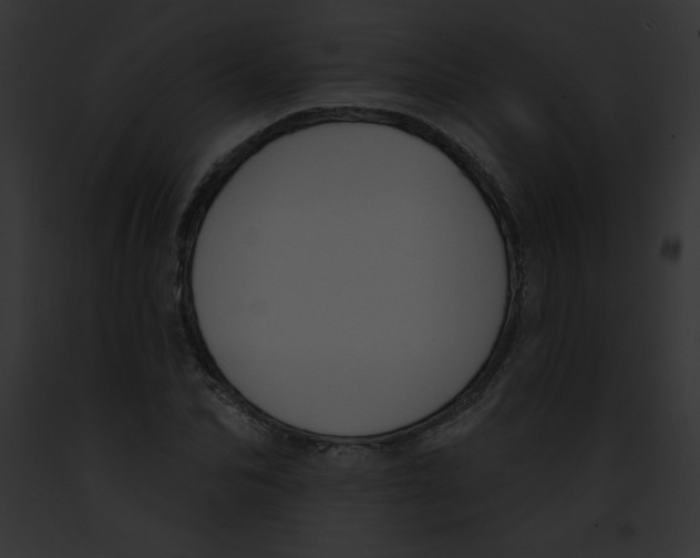 X0000091850974200710031016