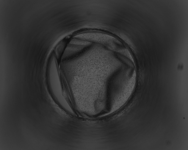 X0000091850976200710031016