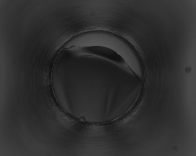 X0000091850977200710031016