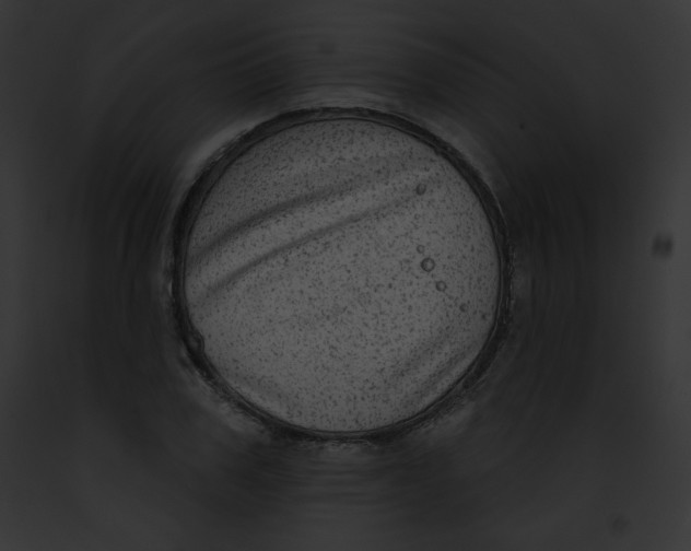 X0000091850979200710031016