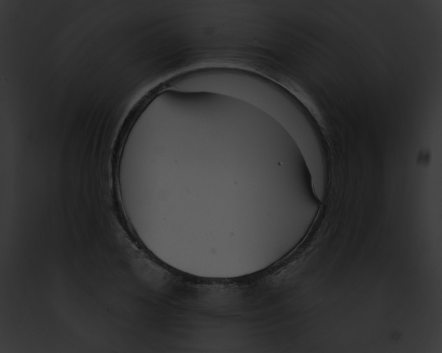 X0000091850980200710031016