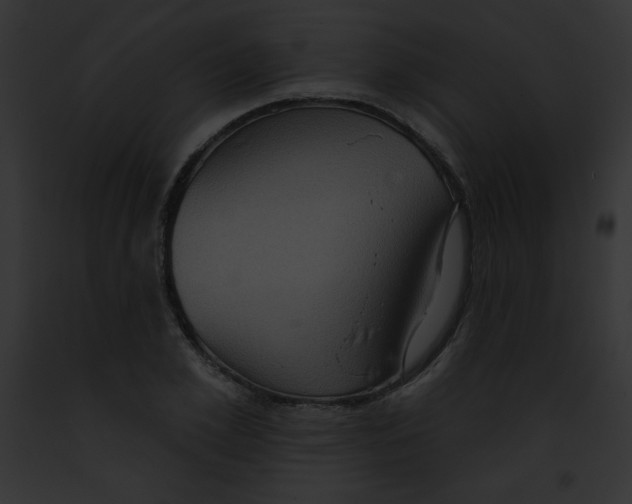 X0000091850981200710031016
