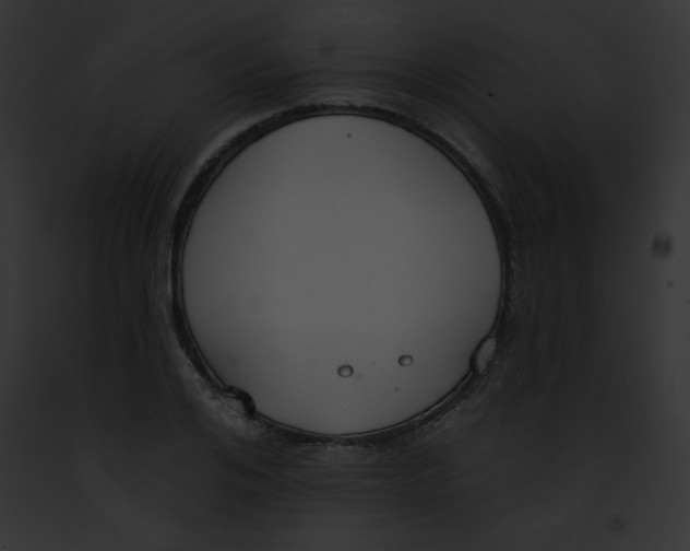 X0000091850984200710031016