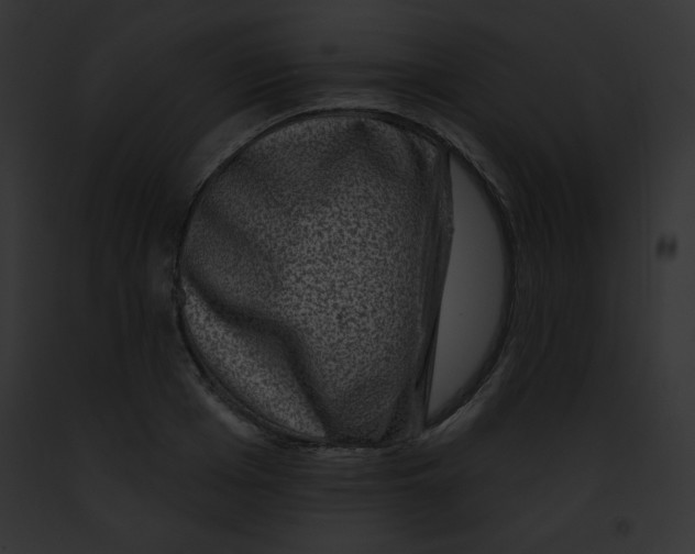 X0000091850985200710031016