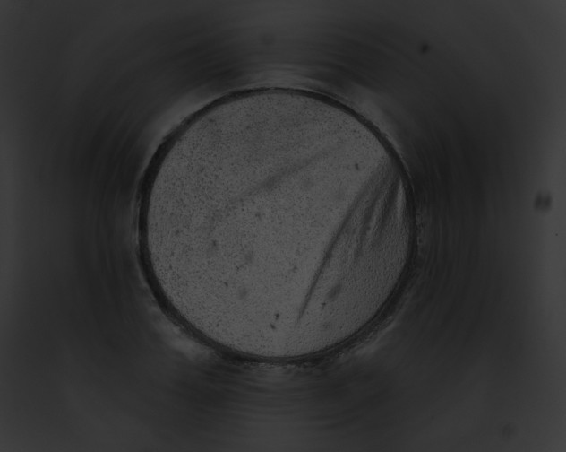 X0000091850987200710031016