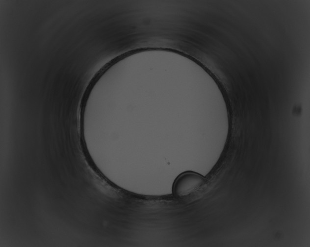 X0000091850988200710031016