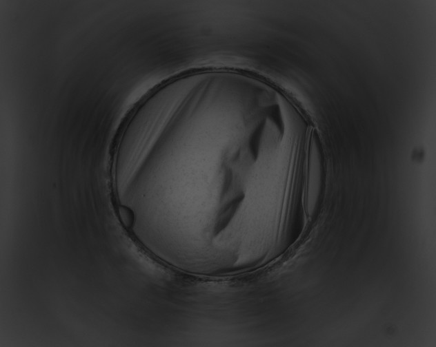 X0000091850990200710031016