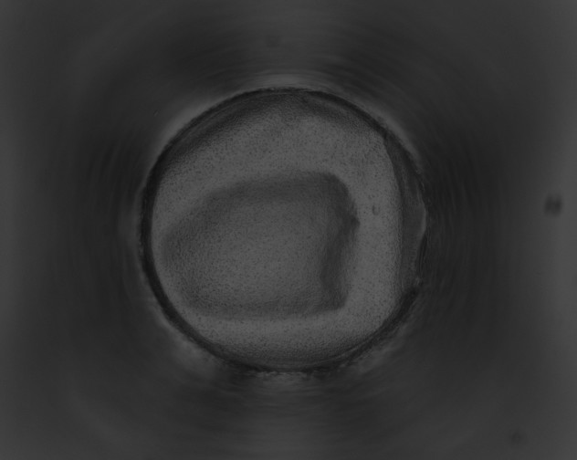 X0000091850991200710031016
