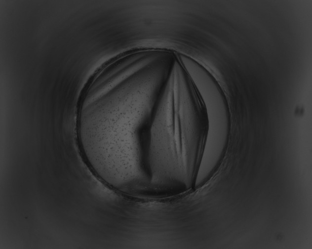 X0000091850992200710031016